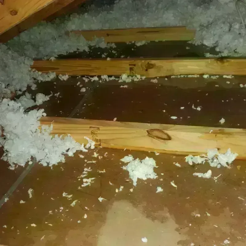 Attic Water Damage in Fremont County, WY