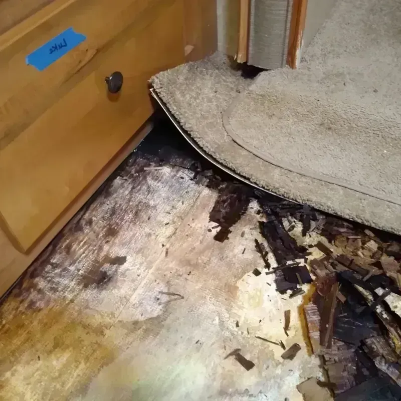 Wood Floor Water Damage in Fremont County, WY